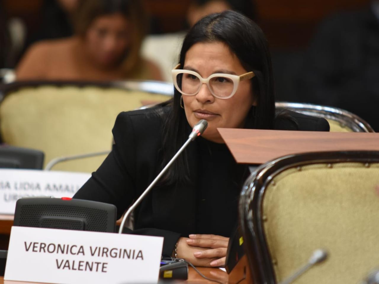 Dip. Valente: "el ciclo de Cristina Kirchner ha terminado. El PJ no puede ser una PYME"