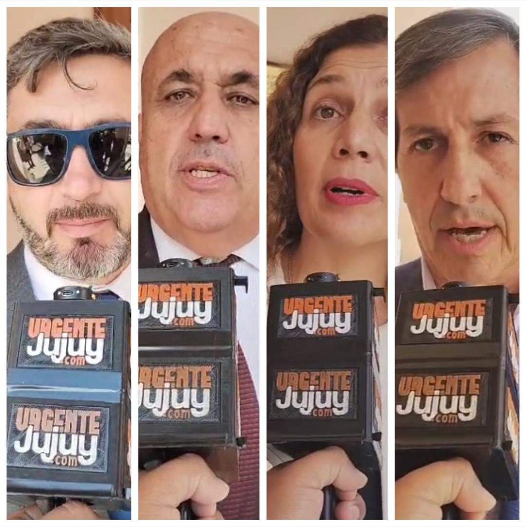 Elecciones en el Colegio de Abogados: la Lista Violeta propone mayor protagonismo en el Consejo de la Magistratura